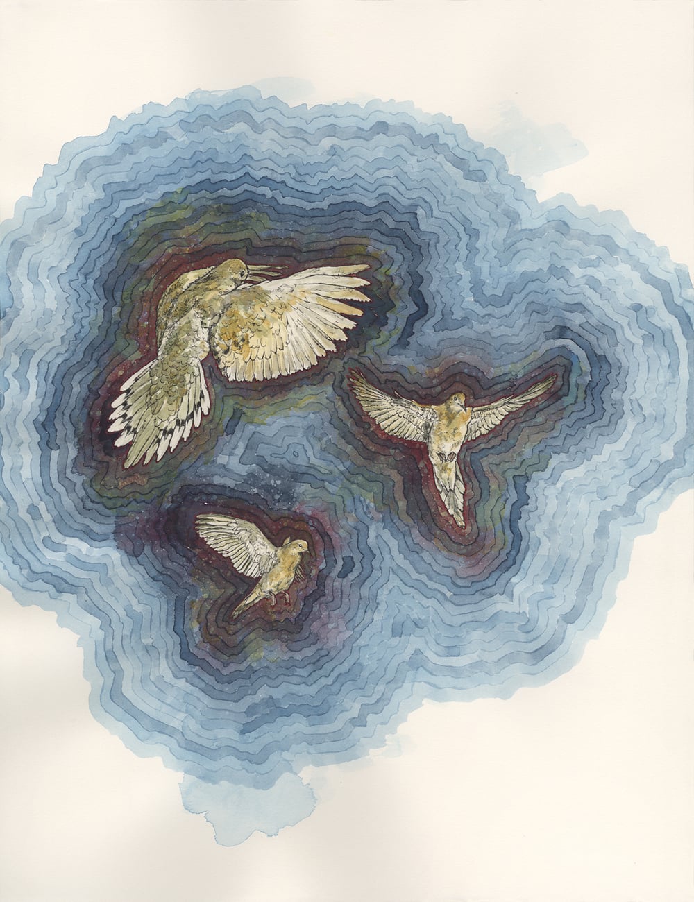 painting: mourning doves by Claire Taylor